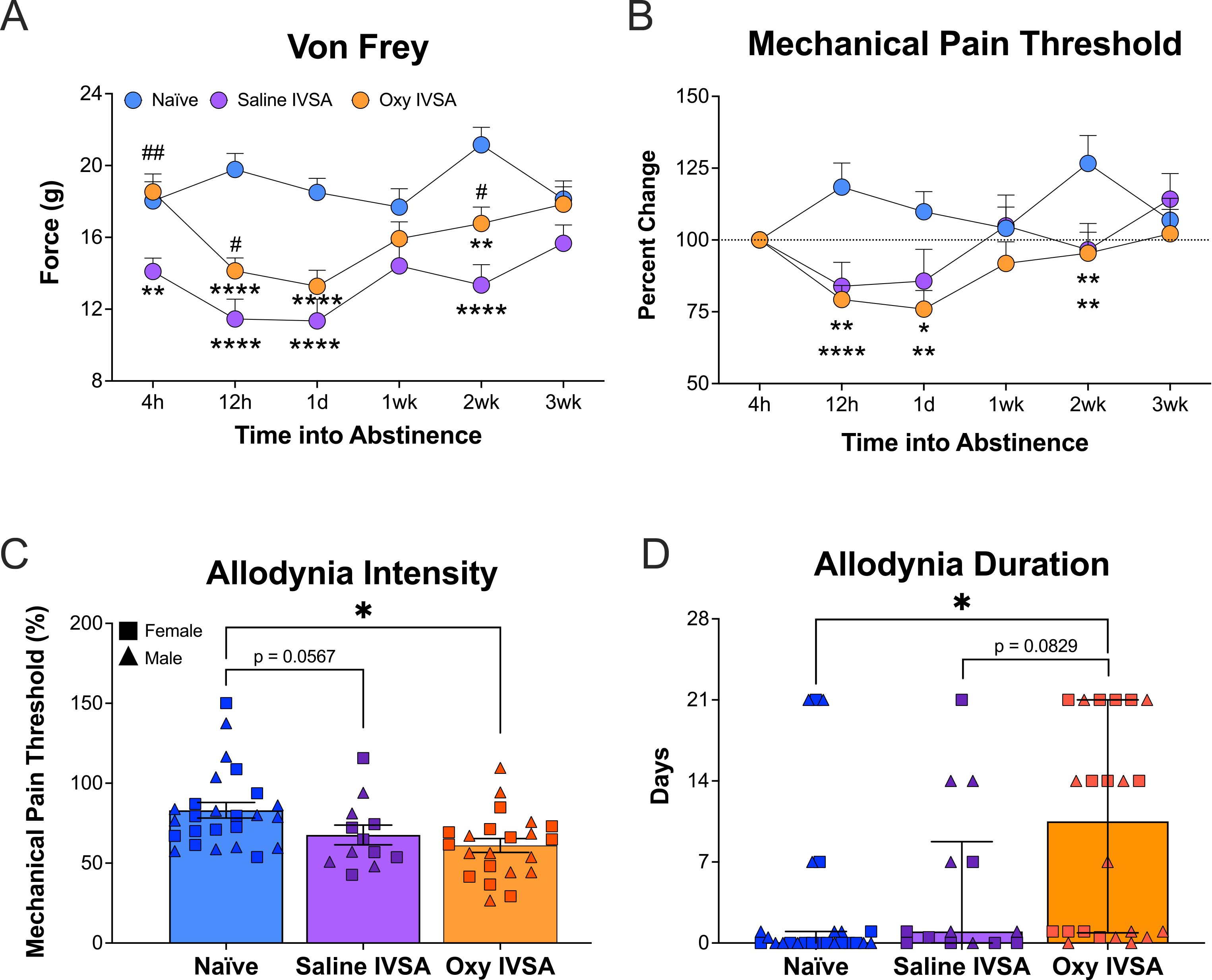 Paw withdrawal force and normalized mechanical pain threshold over three weeks in naïve, saline, and oxycodone rats, plus allodynia intensity and duration per animal.