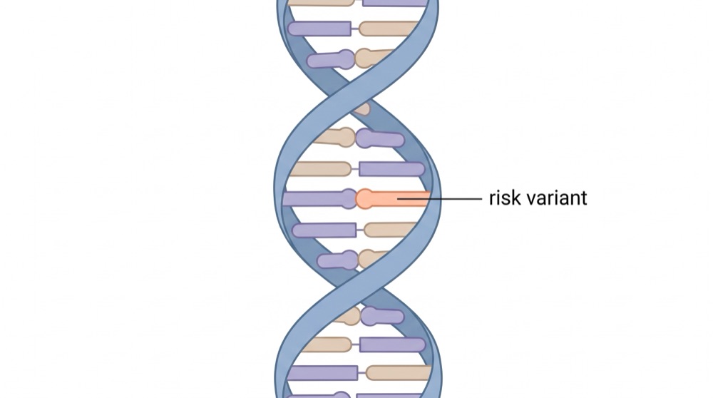 Genes — ~1 nm