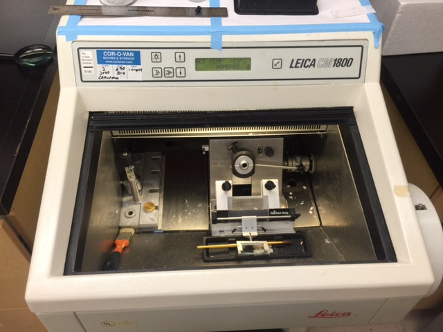 George Lab science image