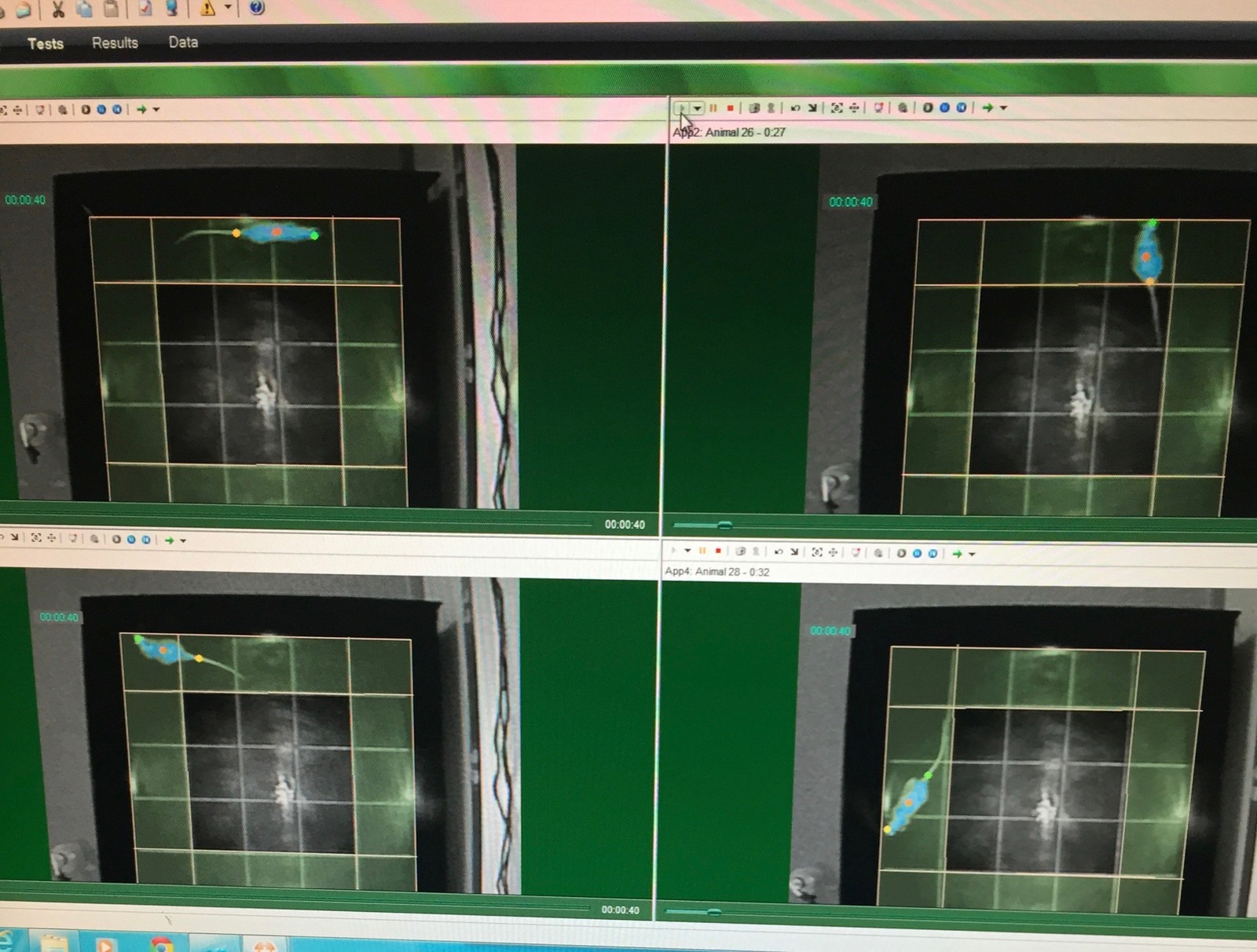 George Lab science image