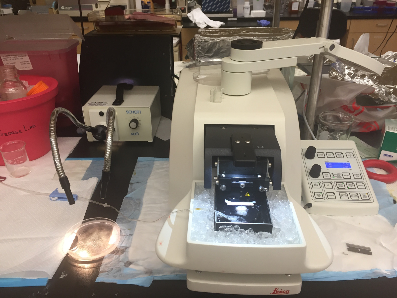 George Lab science image