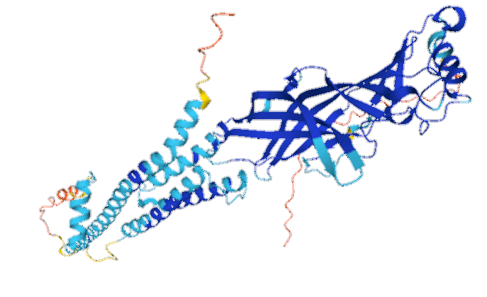 The nicotinic receptor behind nicotine reinforcement