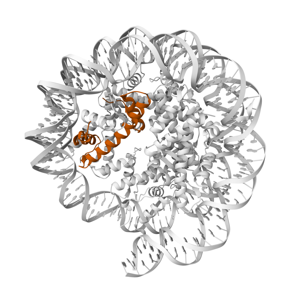 Epigenetic control of addiction