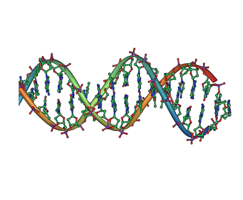 Genome-wide study of opioid use disorder