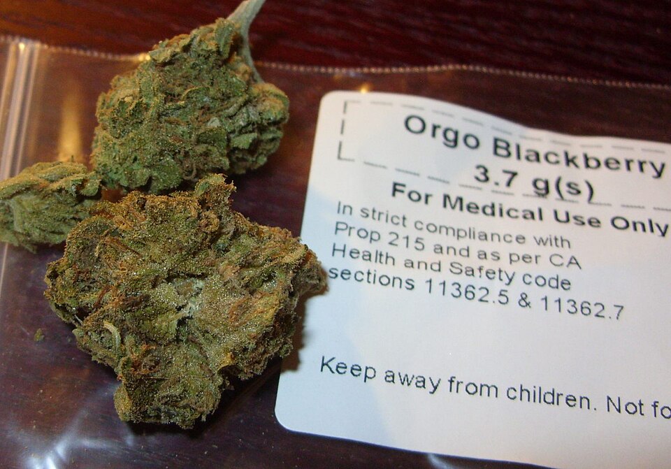 California legalizes medical cannabis