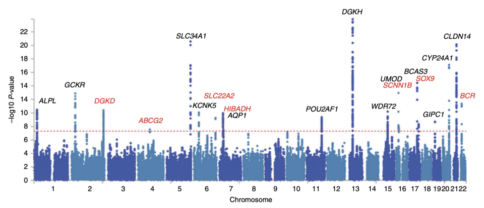 A shared genetic addiction factor