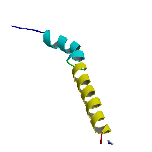 A CRF amygdala pathway drives addiction-like behavior