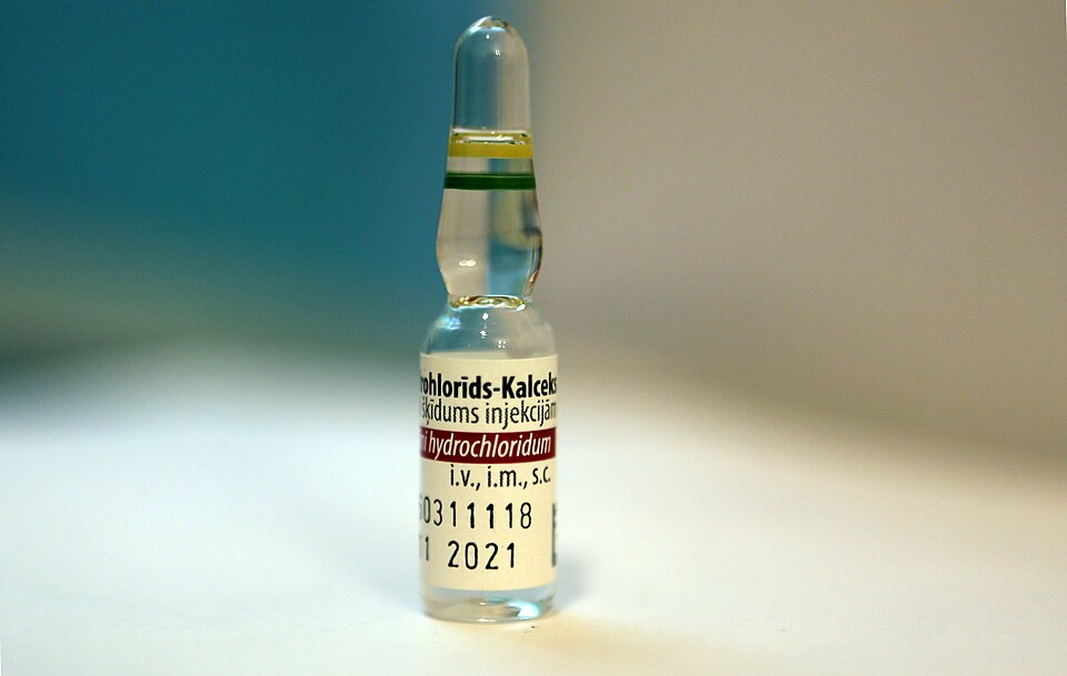 Morphine dependence modeled in animals