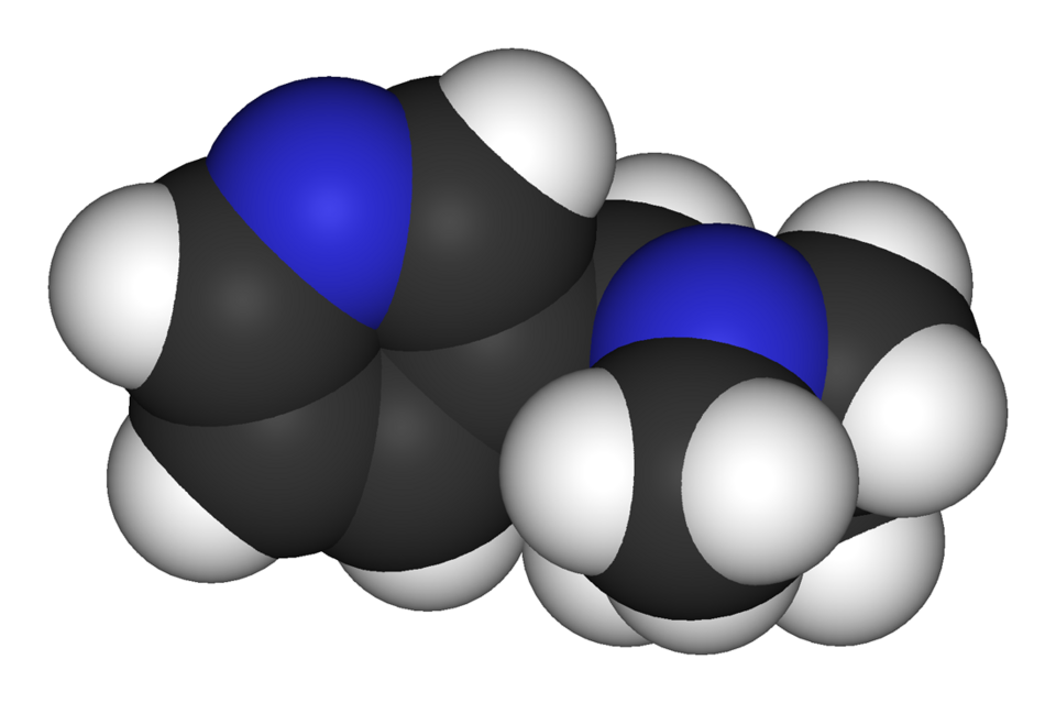 CRF drives escalation of nicotine intake