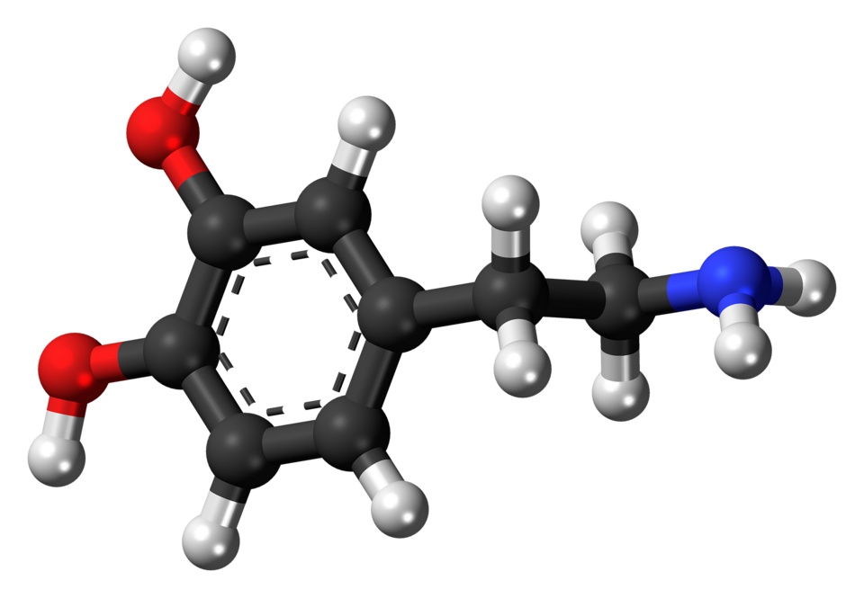 Declining dopamine signaling drives excessive cocaine use
