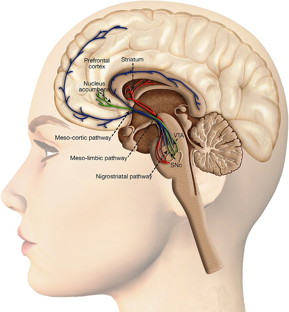 Hedonic allostasis with escalating cocaine intake