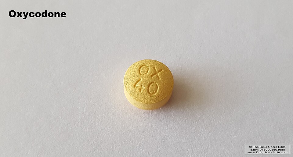 Opioid epidemic, wave 1: prescription opioids