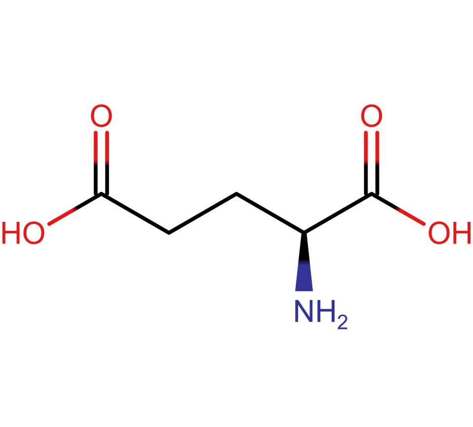 The glutamate homeostasis hypothesis