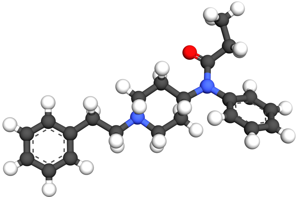 Distinct opioid ensembles for reward and withdrawal