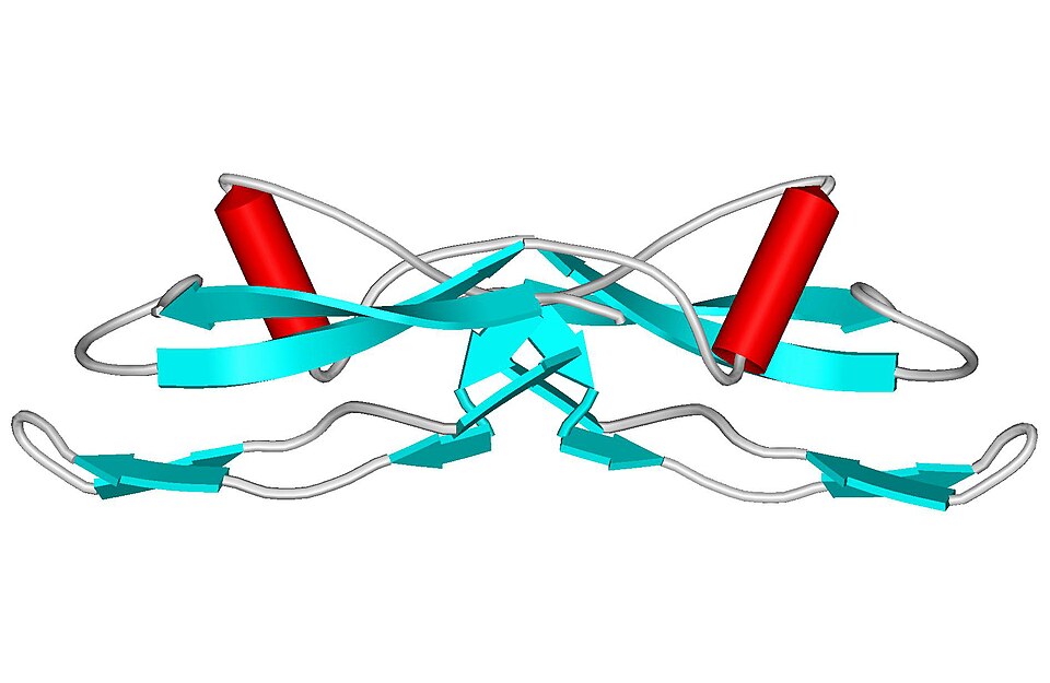 GDNF reverses alcohol-induced dopamine allostasis