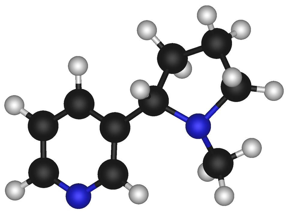 FDA approves nicotine gum (smoking)