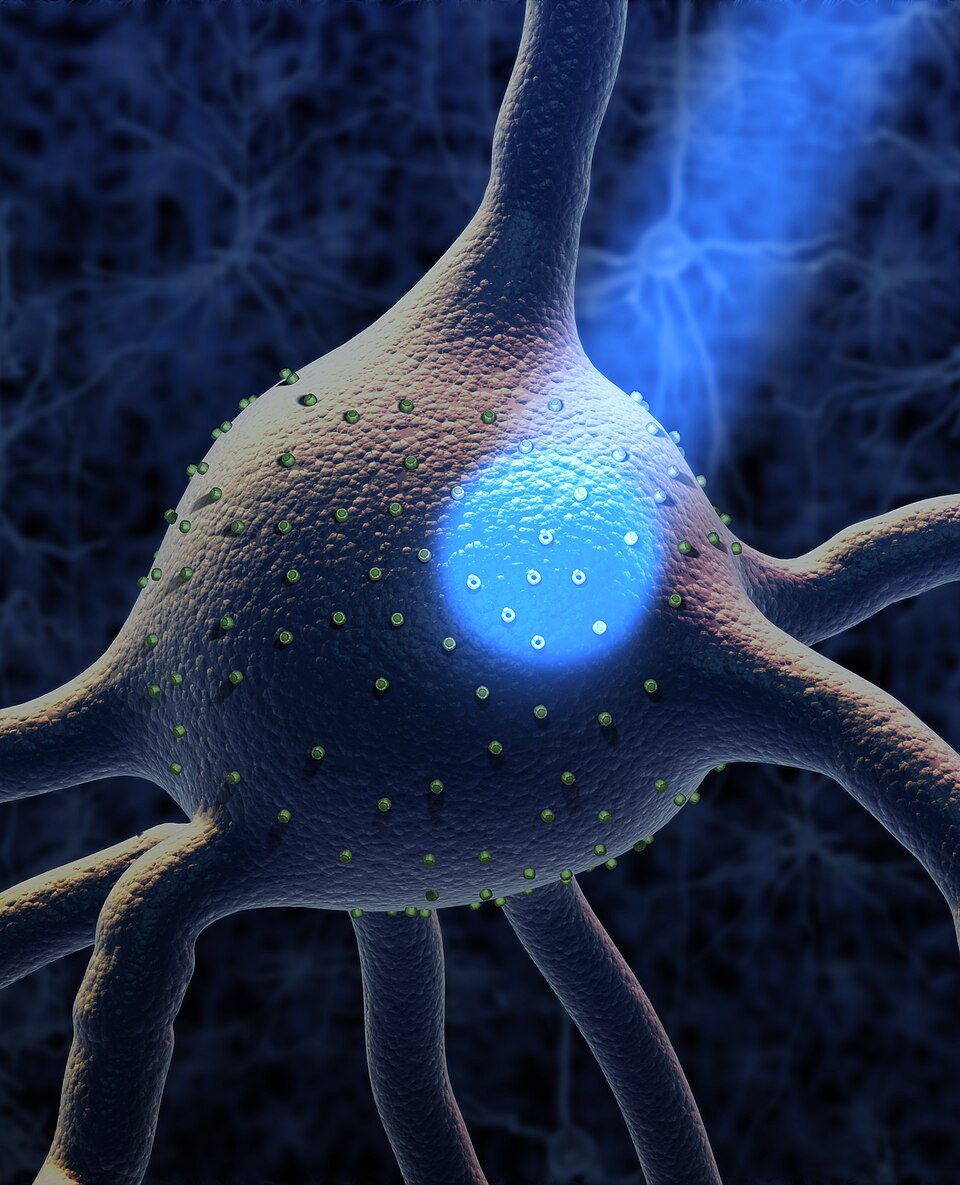 Optogenetic dopamine drives conditioning
